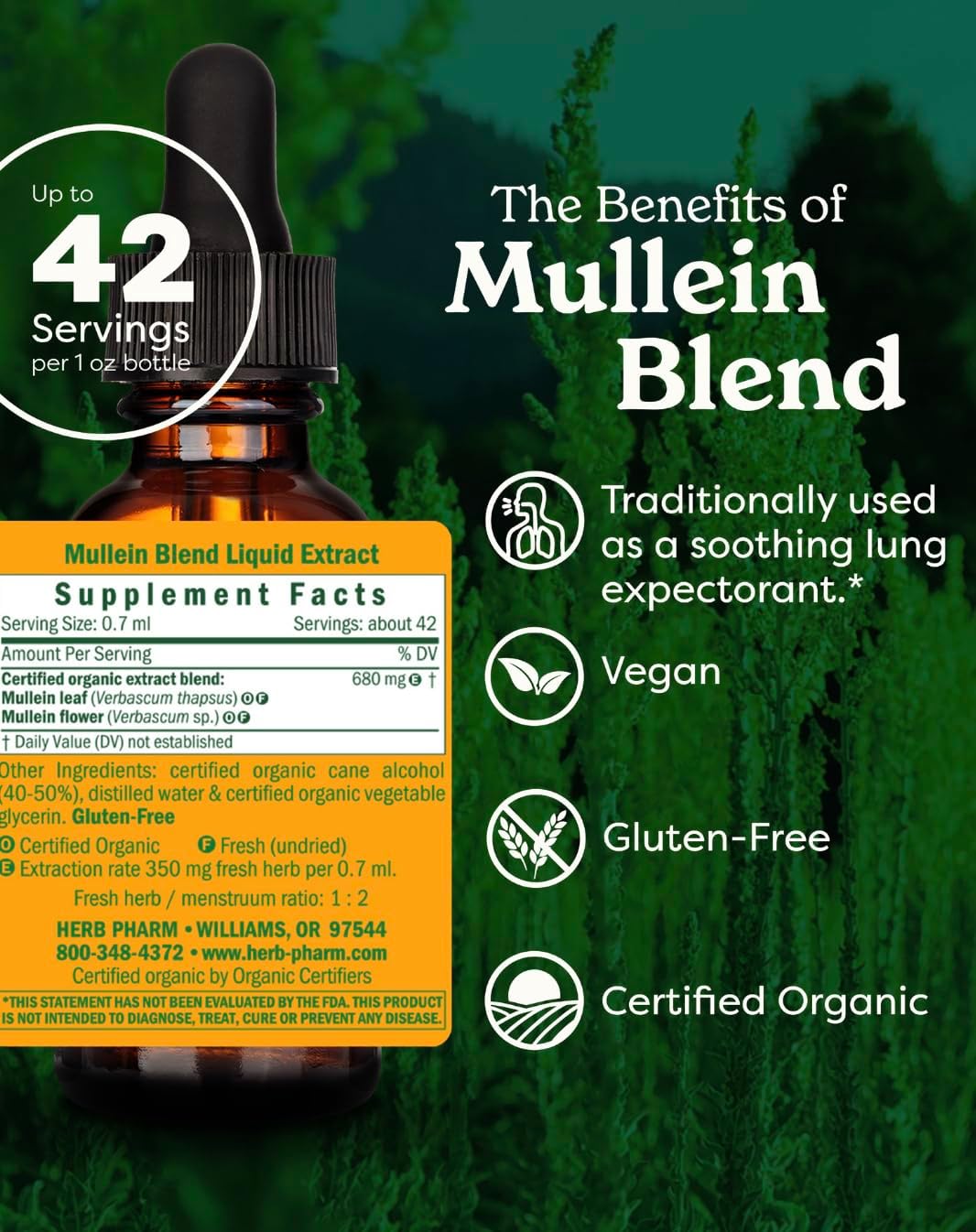 Herb Pharm Mullein Blend Respiratory Support Liquid