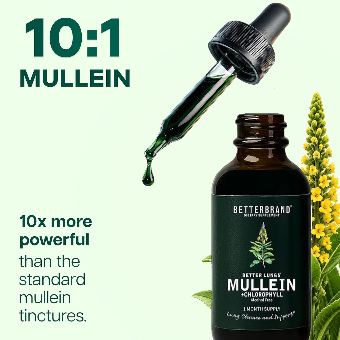 Betterbrand Mullein Drops Lung Detox Respiratory Support Liquid