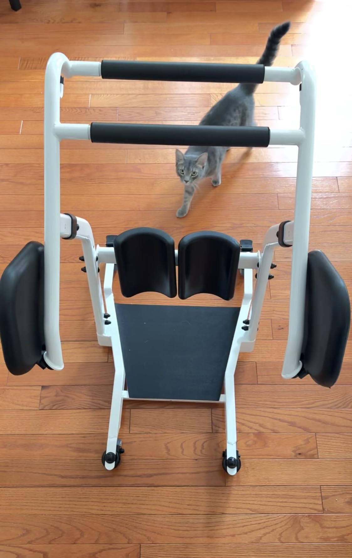VOCIC 2026 Upgraded Sit to Stand Lift for Elderly Patient Transport Unit