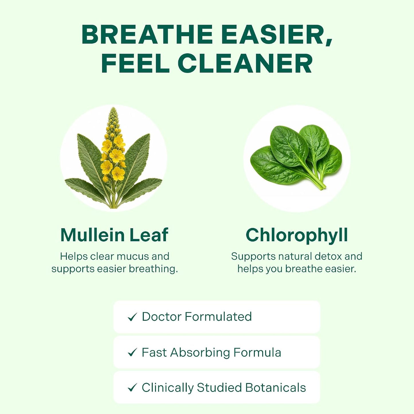Betterbrand Mullein Drops Lung Detox Respiratory Support Liquid
