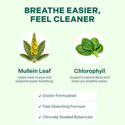 Betterbrand Mullein Drops Lung Detox Respiratory Support Liquid