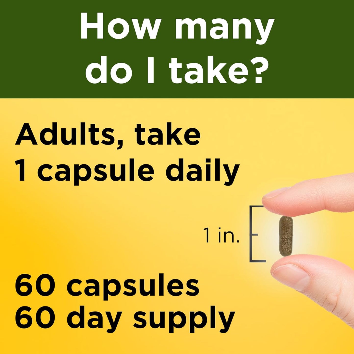 Nature Made Sensoril Ashwagandha Stress Mood Support Capsules