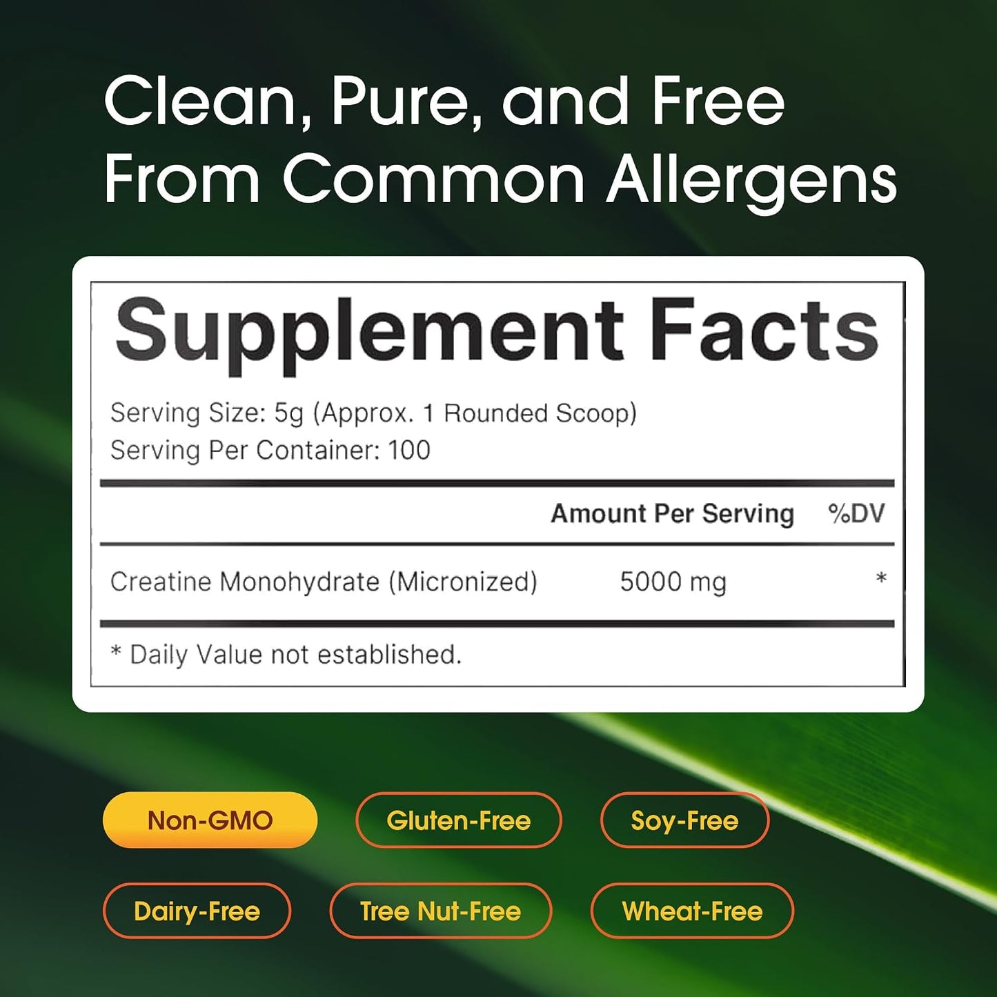 NatureBell Micronized Creatine Monohydrate Powder 5000mg Per Serving 100 Servings