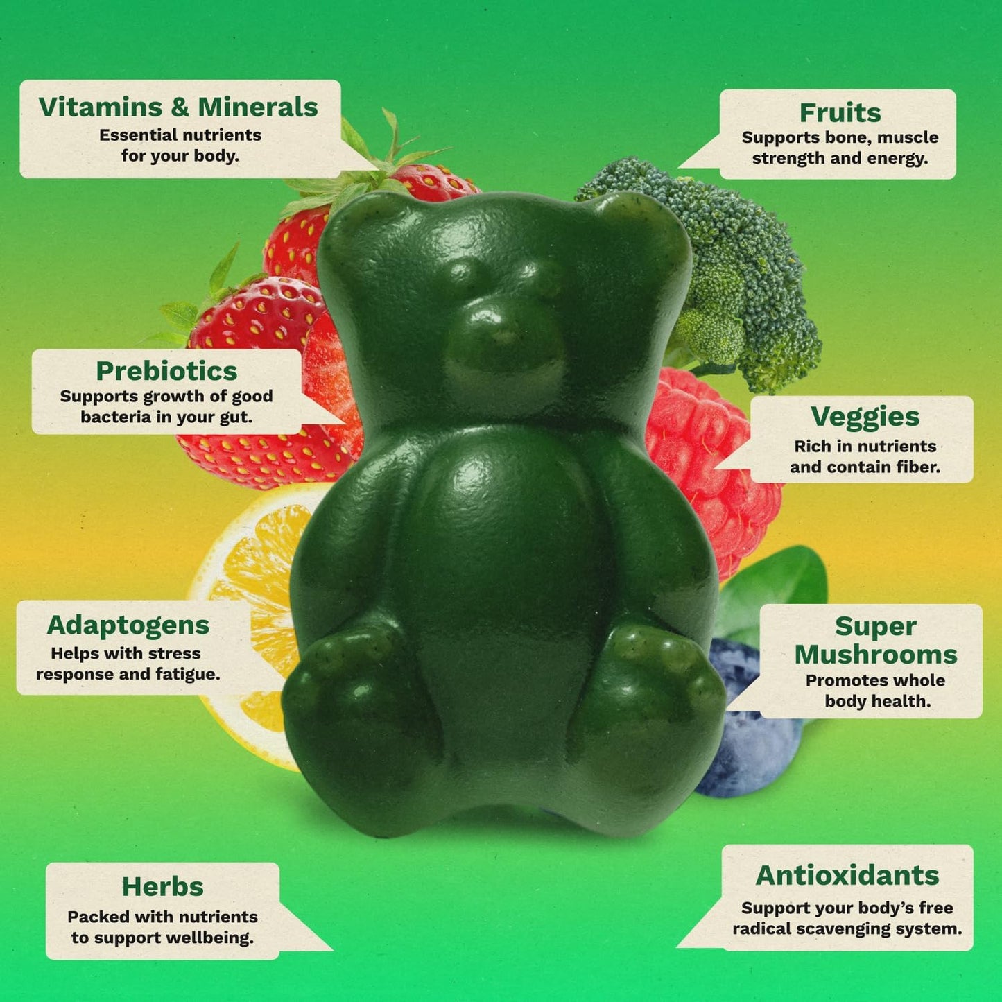 Gruns Adult Super Greens Multivitamin Gummies with Spirulina and Prebiotic Fiber