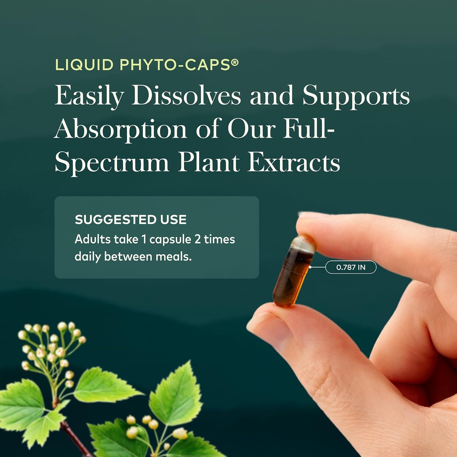 Gaia Herbs Mighty Lungs Respiratory Support Capsules