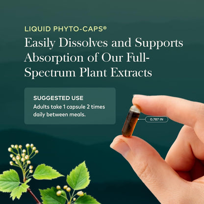 Gaia Herbs Mighty Lungs Respiratory Support Capsules