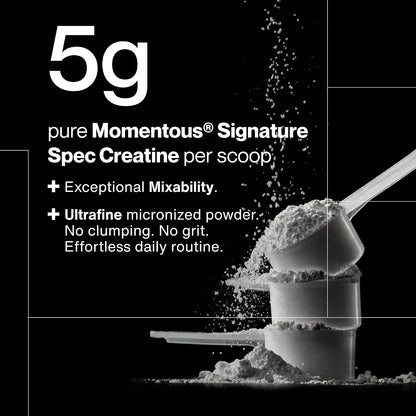 Momentous Creatine Monohydrate Powder