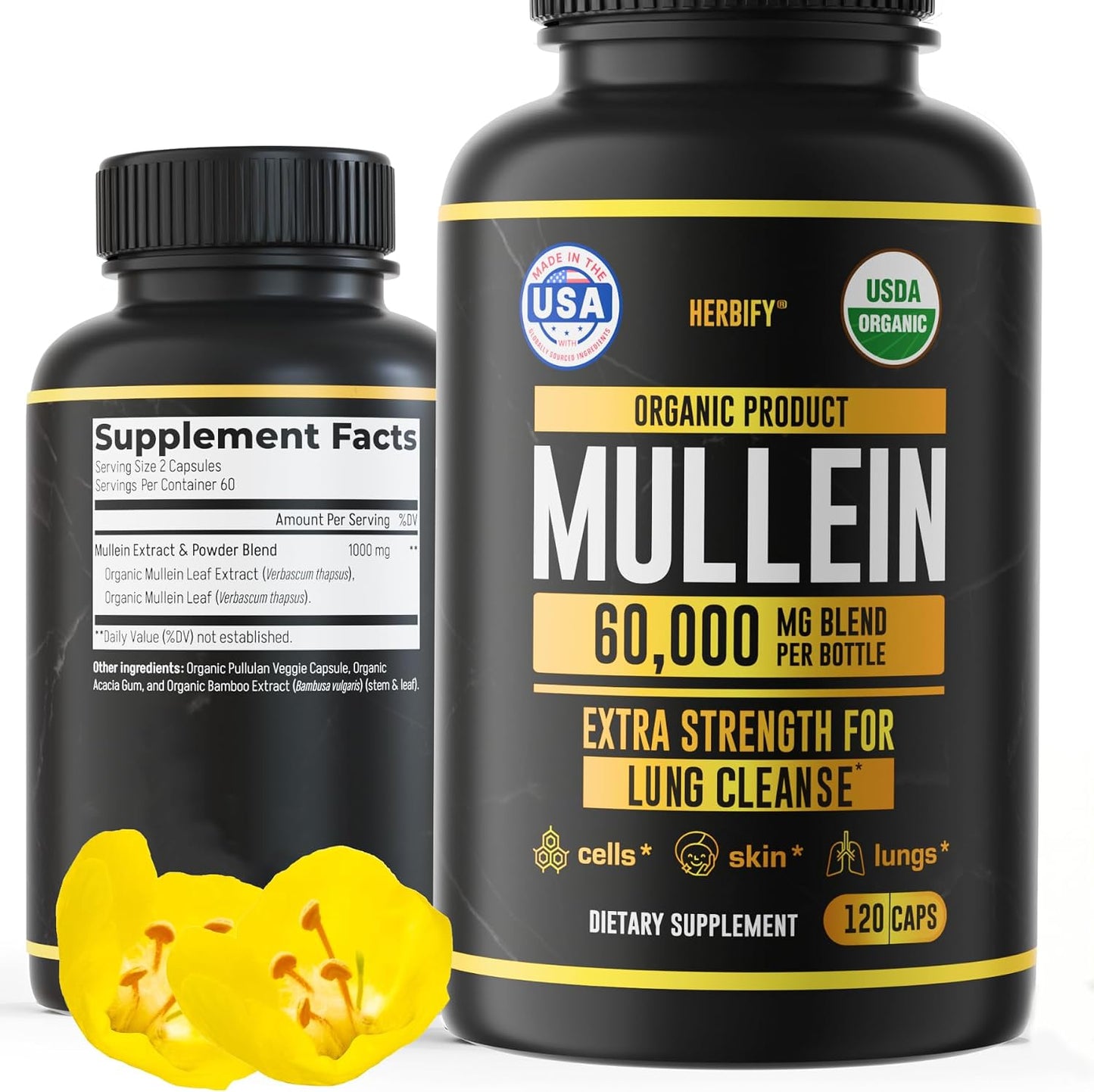 HERBIFY Mullein Leaf Extract Respiratory Support Liquid Drops