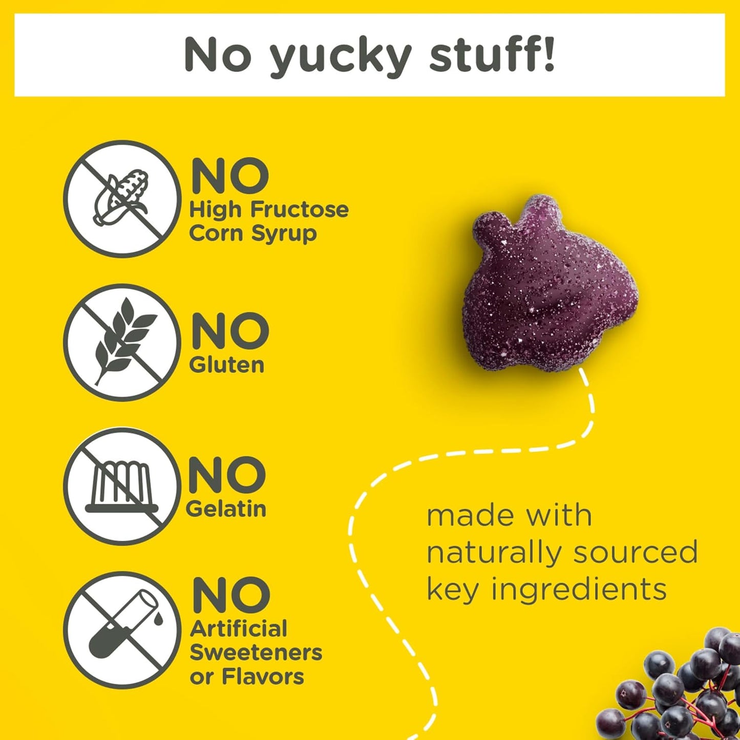 Zarbee's Kids Elderberry Immune Support Gummy Supplement