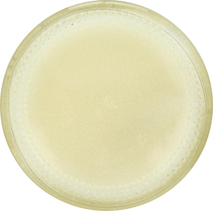 Tea Tree Therapy Antiseptic Ointment 2 oz