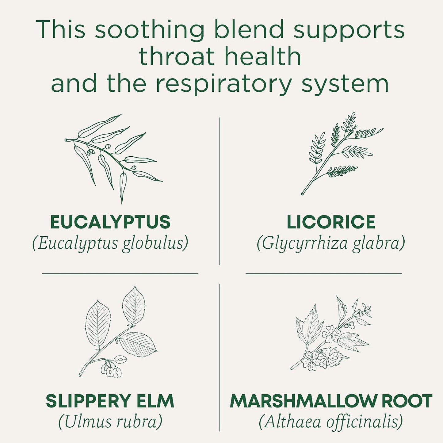 Traditional Medicinals Throat Coat Eucalyptus Respiratory Support Herbal Tea Bags