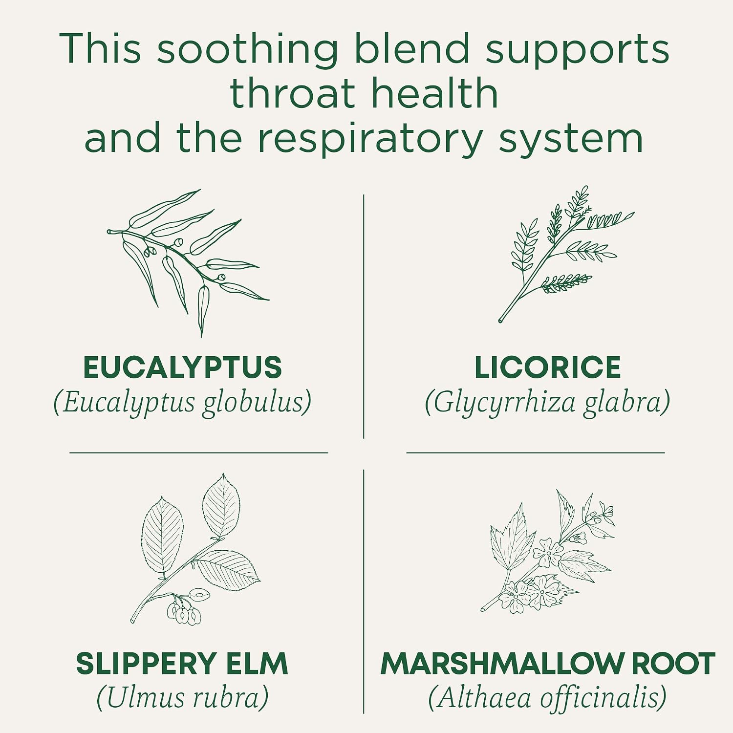 Traditional Medicinals Throat Coat Eucalyptus Respiratory Support Herbal Tea Bags