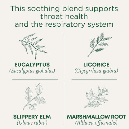 Traditional Medicinals Throat Coat Eucalyptus Respiratory Support Herbal Tea Bags