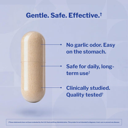 Kyolic Aged Garlic Extract Formula 100 Capsules