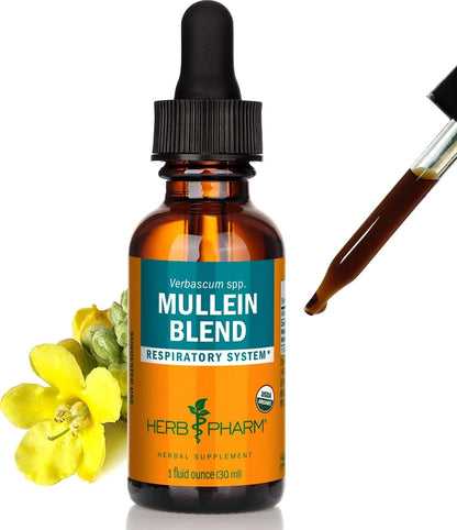 Herb Pharm Mullein Blend Respiratory Support Liquid