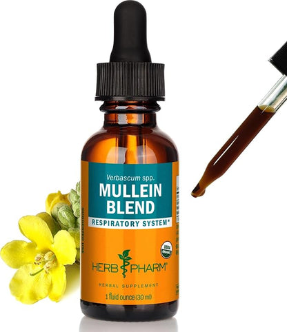 Herb Pharm Mullein Blend Respiratory Support Liquid