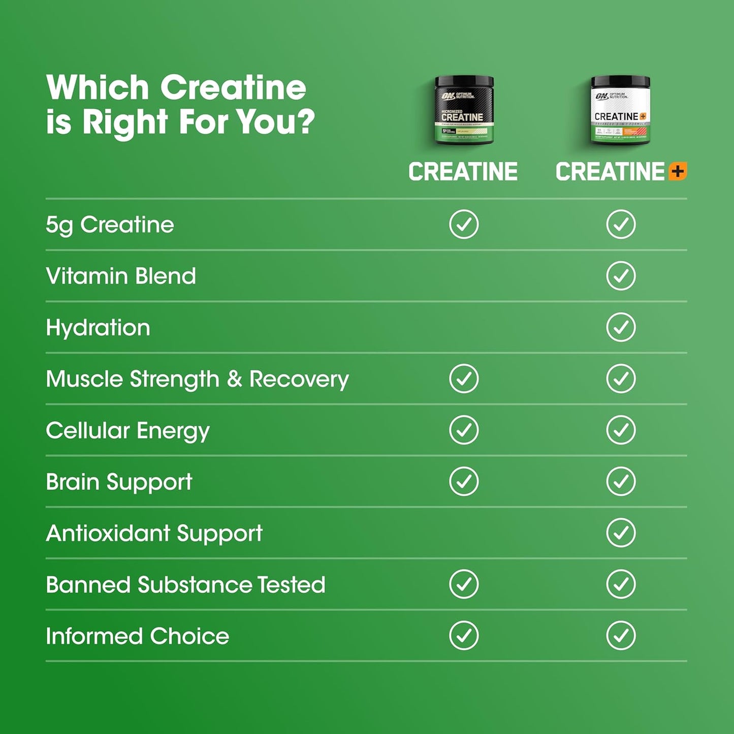 Optimum Nutrition Micronized Creatine Monohydrate Unflavored 5g 60 Servings