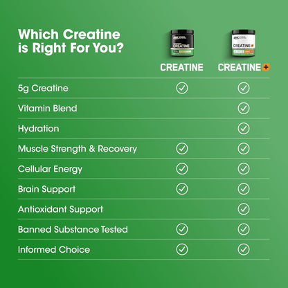 Optimum Nutrition Micronized Creatine Monohydrate Unflavored 5g 60 Servings