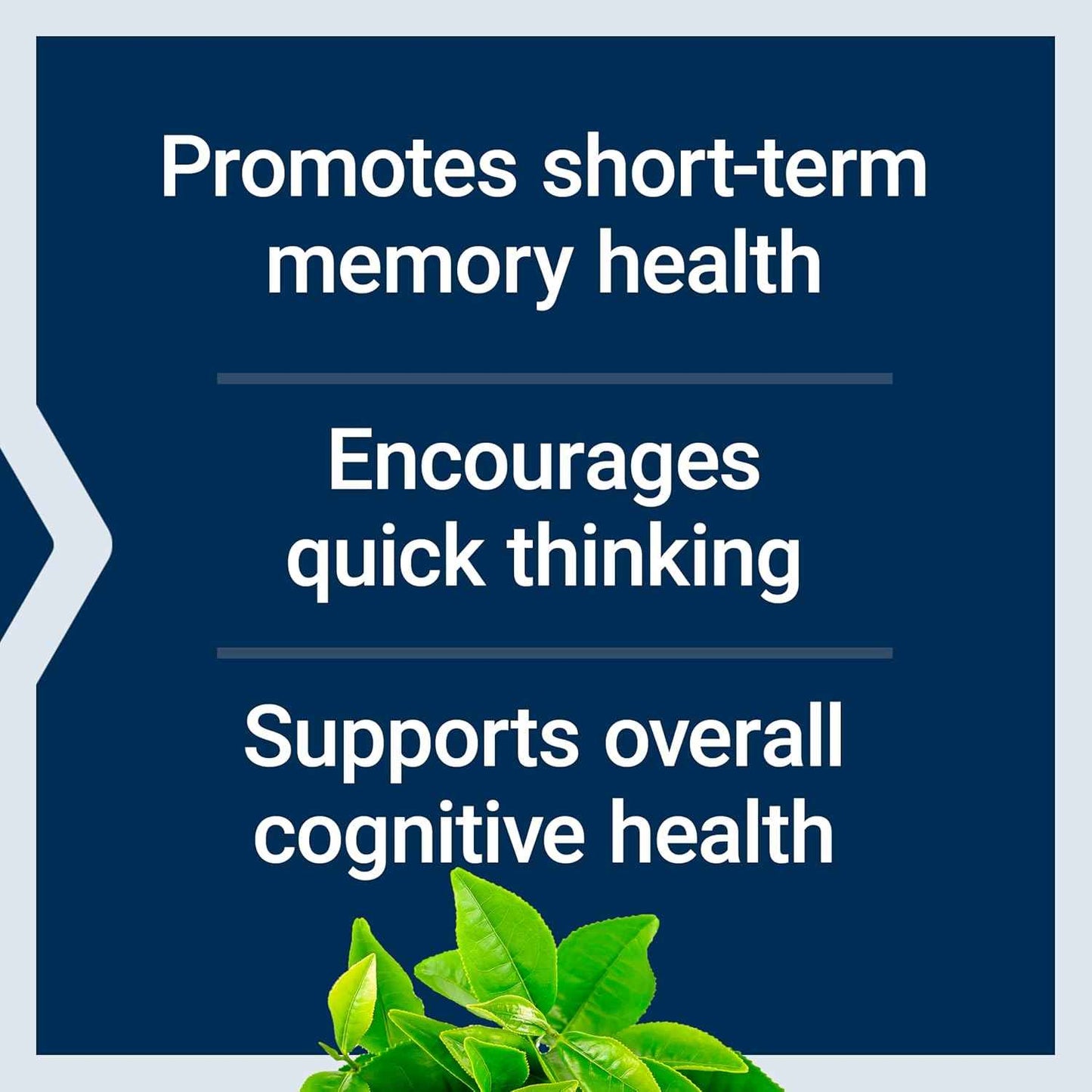 Life Extension Neuro-Mag Magnesium L-Threonate 144 mg 90 Capsules