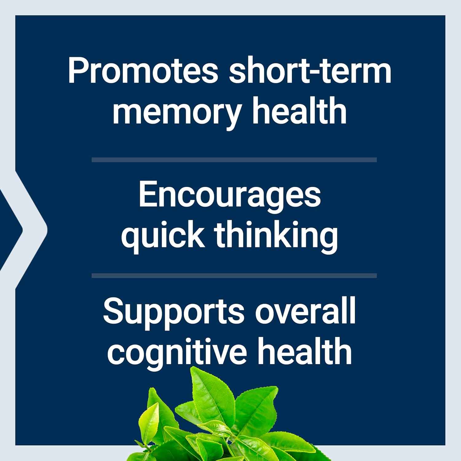 Life Extension Neuro-Mag Magnesium L-Threonate 144 mg 90 Capsules