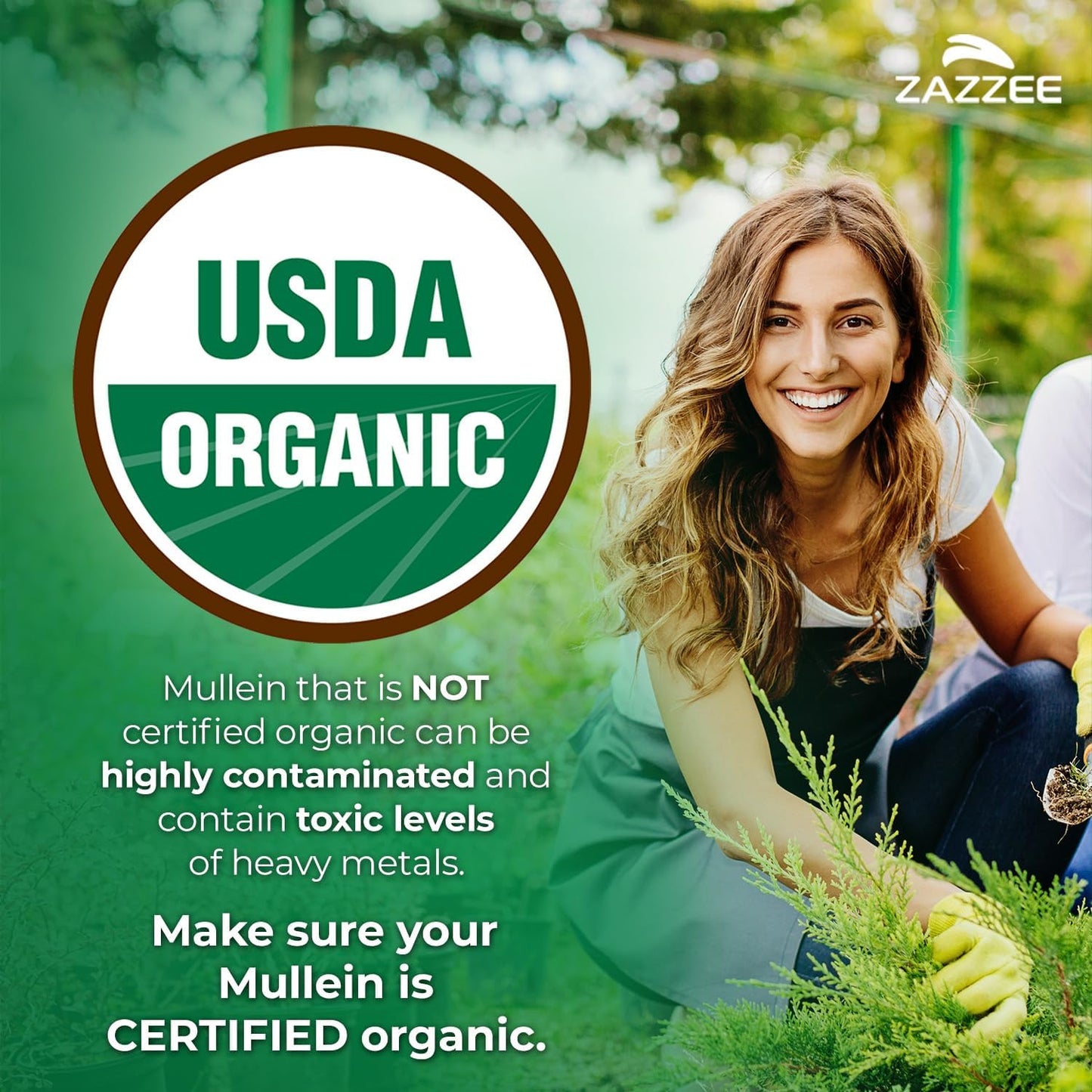 Zazzee Organic Mullein Leaf 10:1 Extract Respiratory Support Capsules