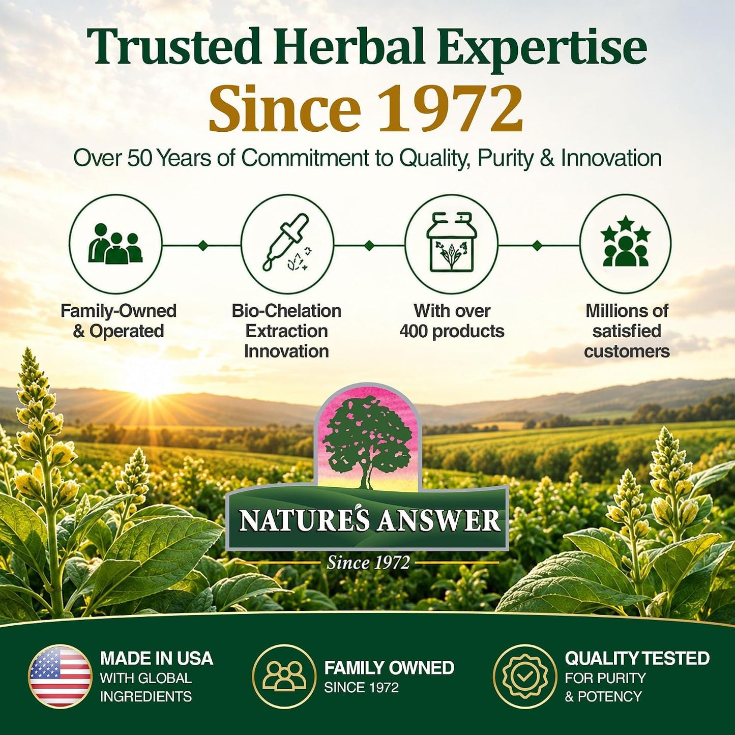 Nature's Answer Mullein Leaf Respiratory Support Liquid Drops