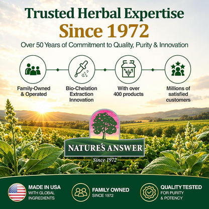 Nature's Answer Mullein Leaf Respiratory Support Liquid