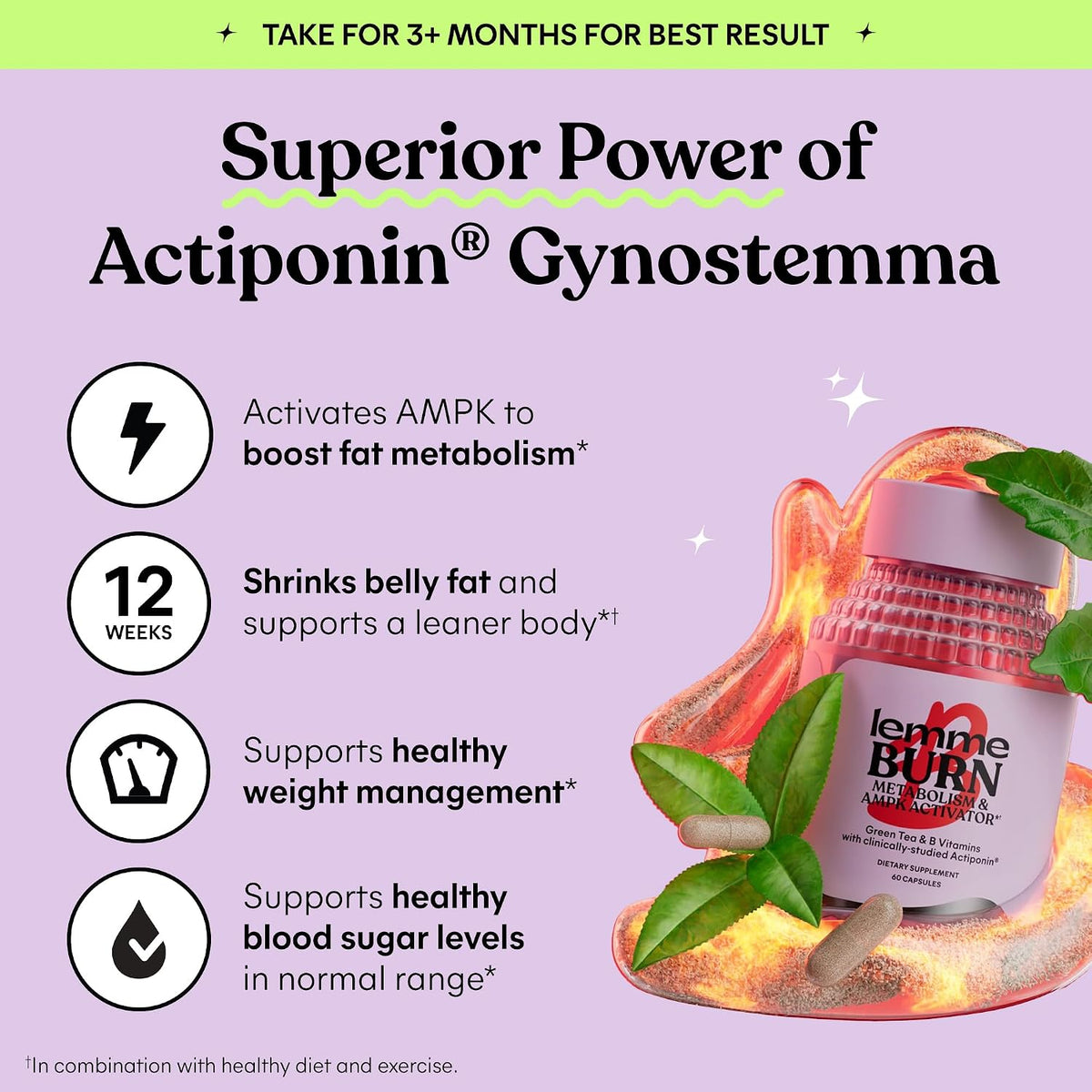 Lemme Burn Metabolism Support Capsules