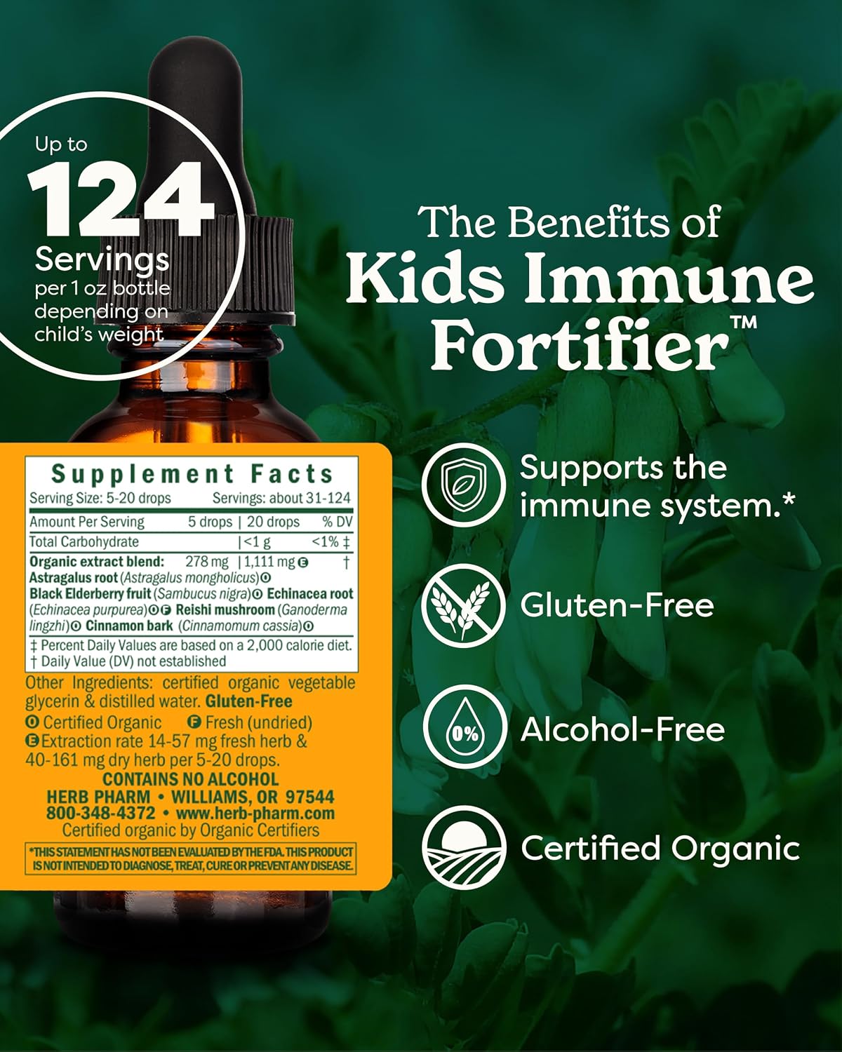Herb Pharm Kids Immune Fortifier Elderberry Echinacea Dietary Supplement Liquid