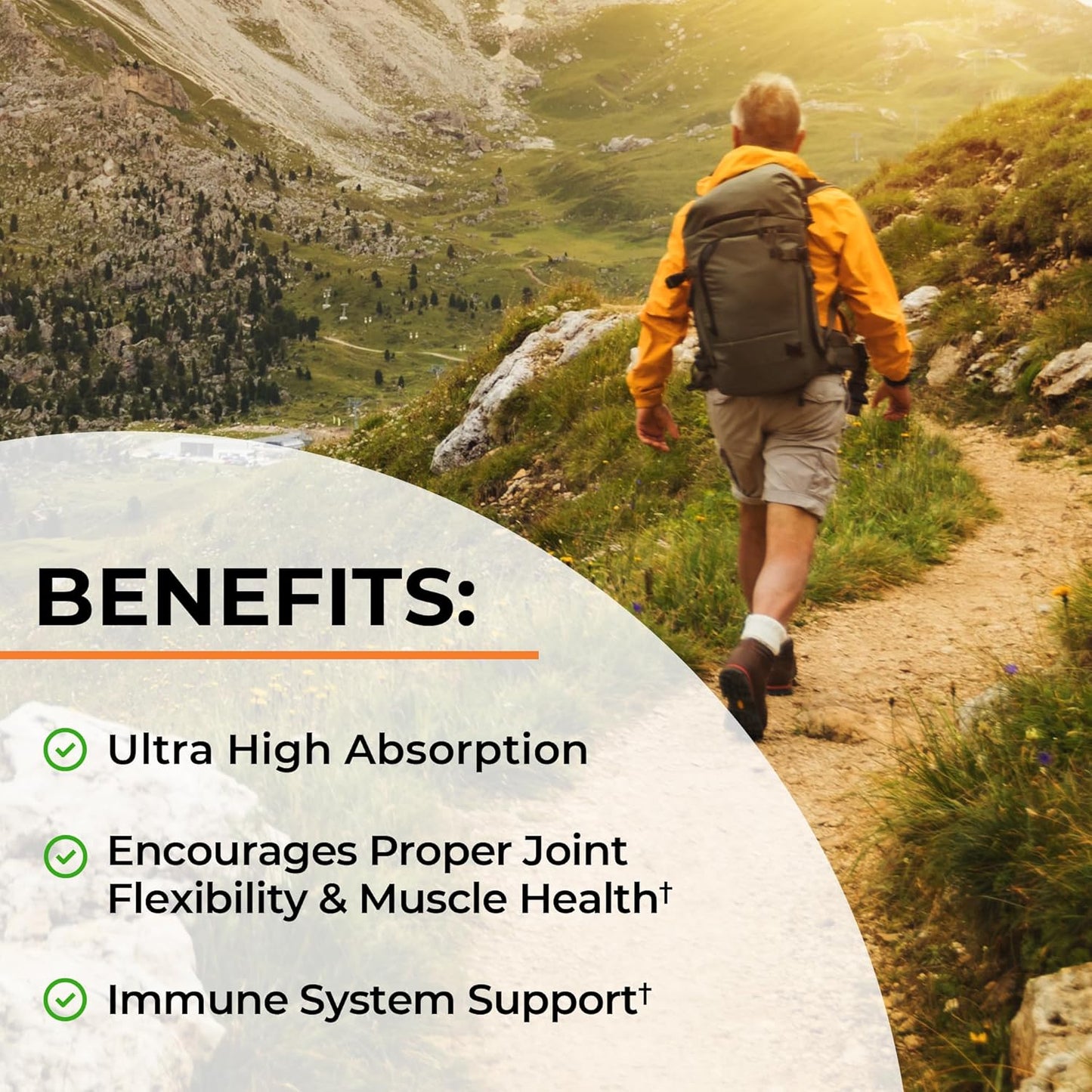 BioSchwartz Turmeric Curcumin with Black Pepper Extract 1500mg 90 Capsules