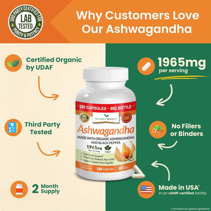 Nature's Branch Organic Ashwagandha Stress Sleep Mood Support Capsules 180 Count