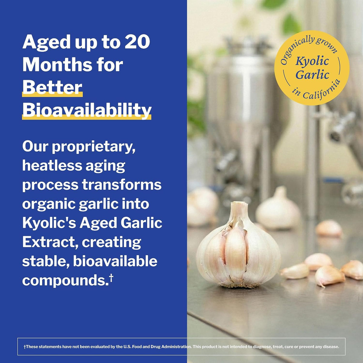Kyolic Aged Garlic Extract Formula 100 Capsules