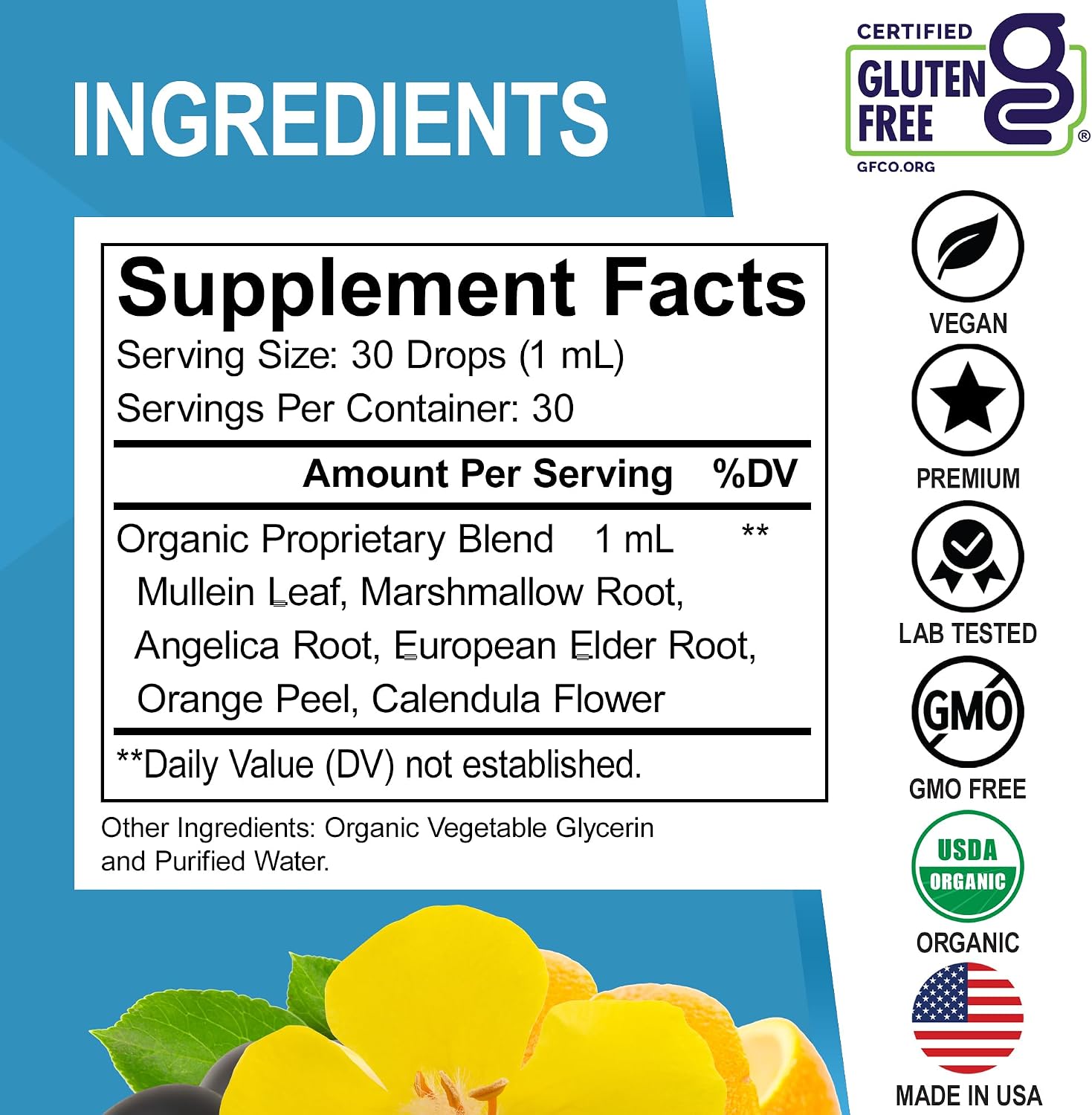 DR. BO Organic Mullein Drops Lung Detox Respiratory Support Liquid