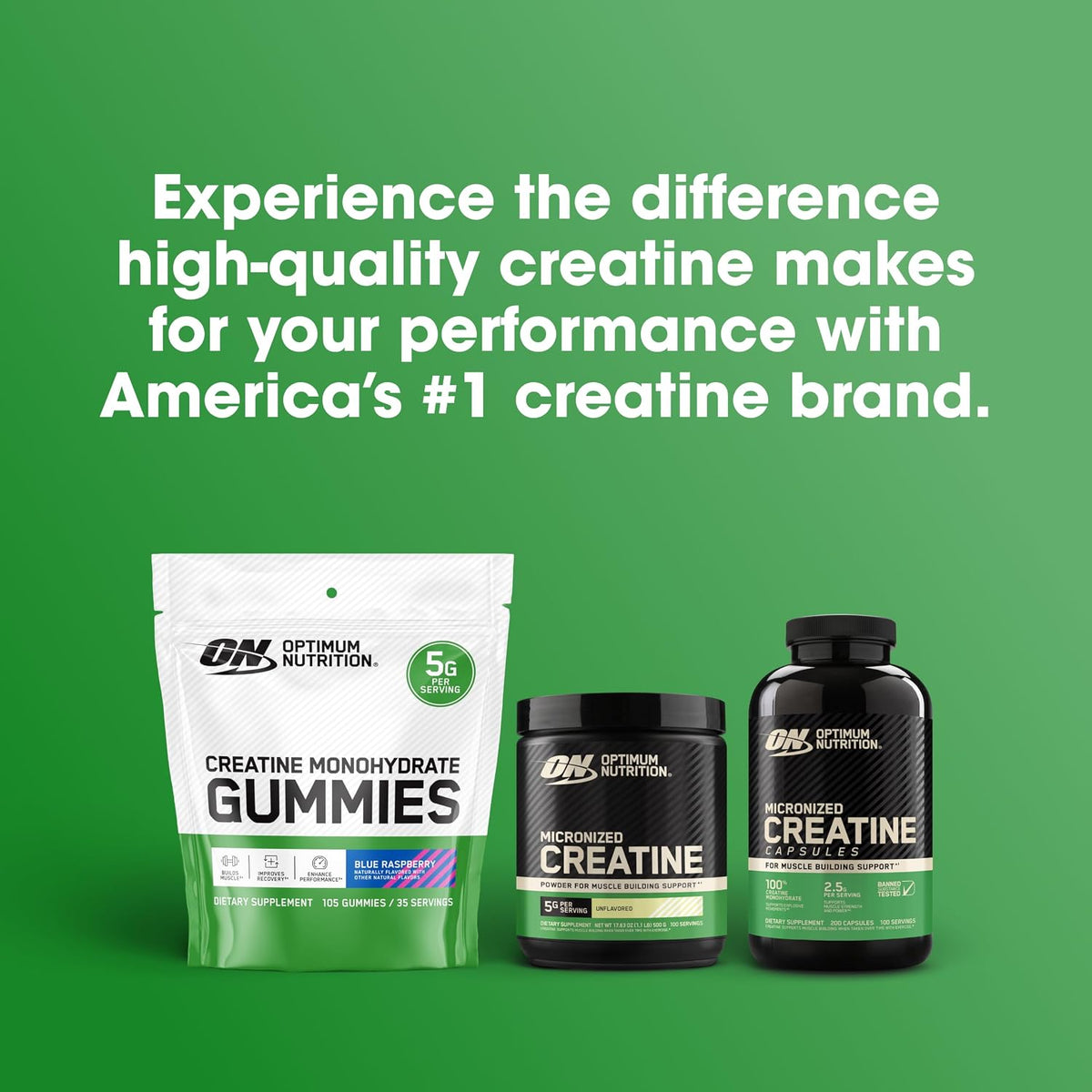Optimum Nutrition Micronized Creatine Monohydrate Dietary Supplement Powder