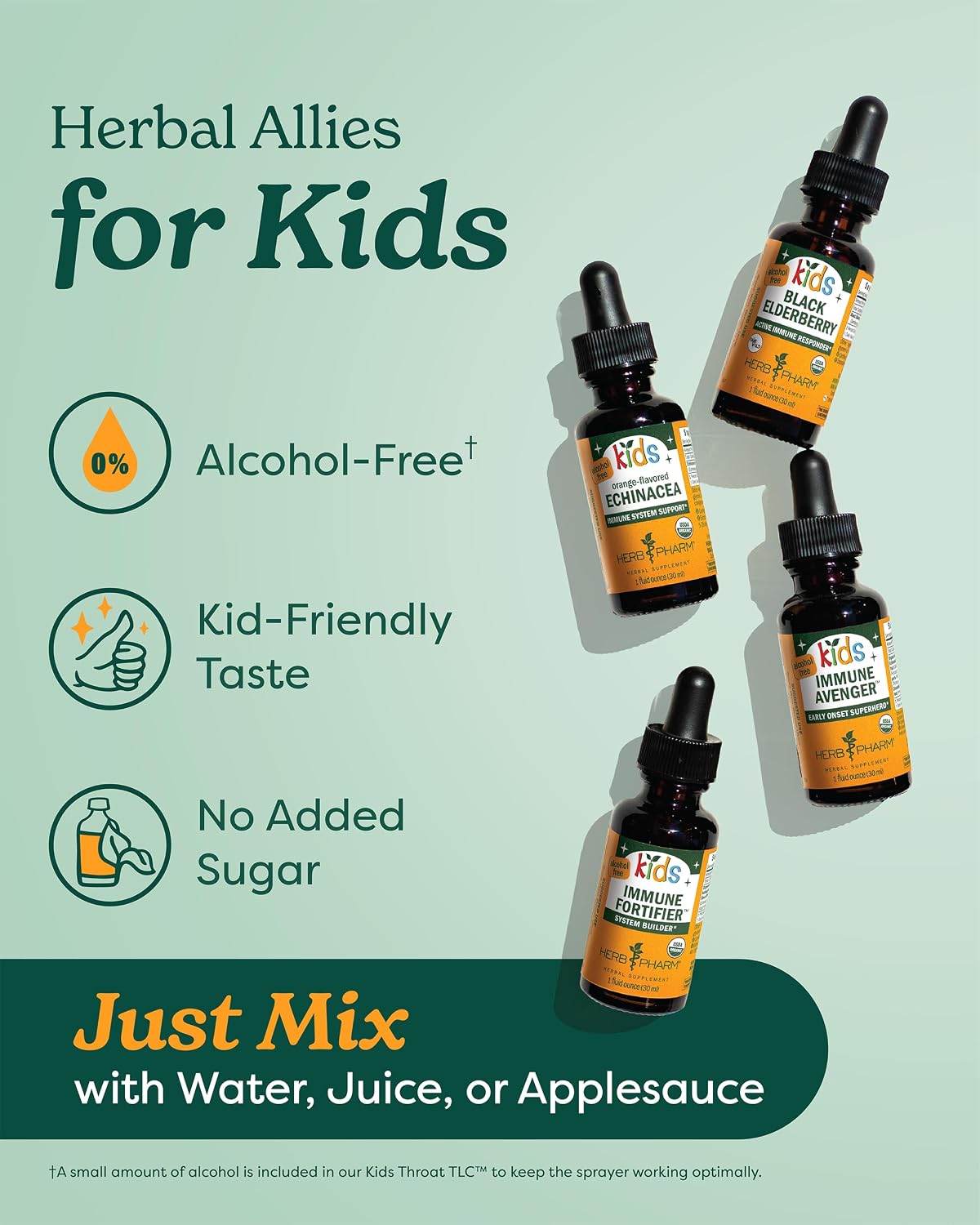 Herb Pharm Kids Immune Fortifier Elderberry Echinacea Dietary Supplement Liquid