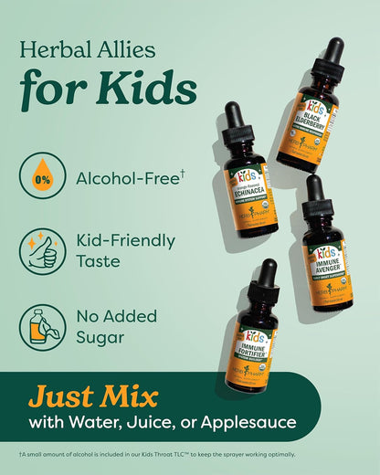 Herb Pharm Kids Immune Fortifier Elderberry Echinacea Dietary Supplement Liquid