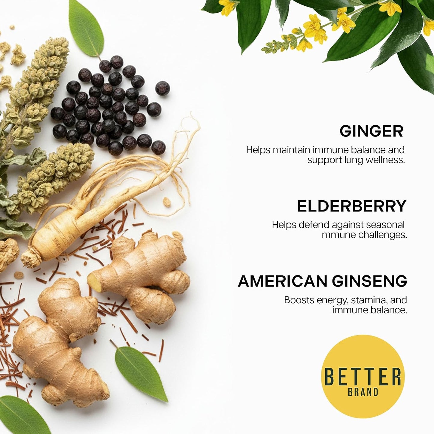 Betterbrand BetterLungs Lung Detox Respiratory Support Herbal Tea Bags