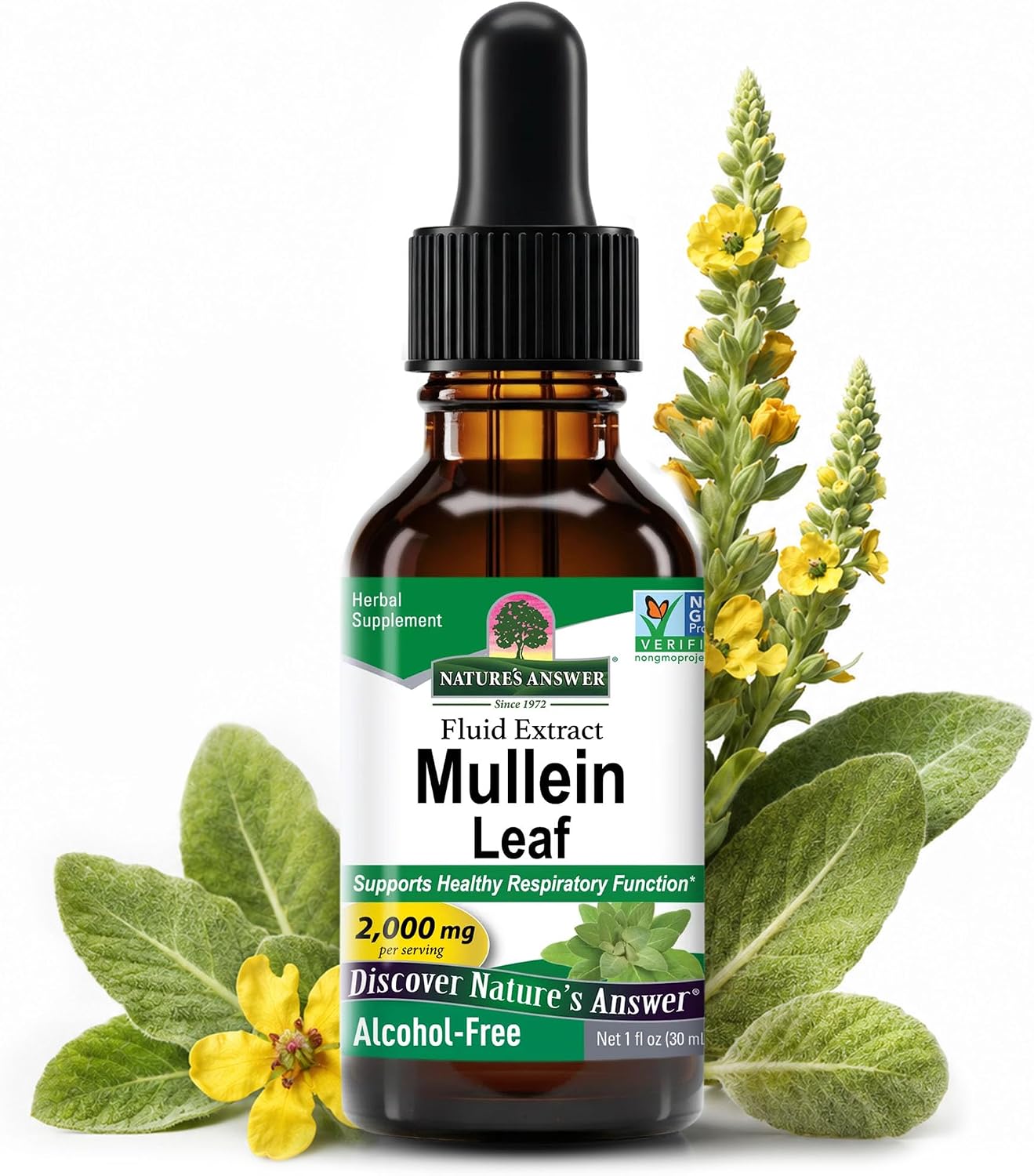 Nature's Answer Mullein Leaf Respiratory Support Liquid Drops