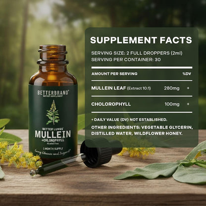 Betterbrand Mullein Drops Lung Detox Respiratory Support Liquid