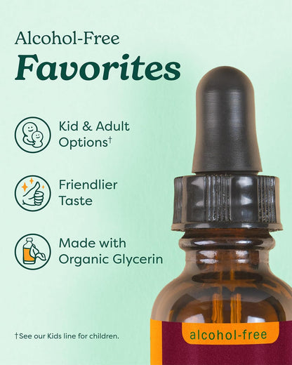 Herb Pharm Kids Immune Fortifier Elderberry Echinacea Dietary Supplement Liquid