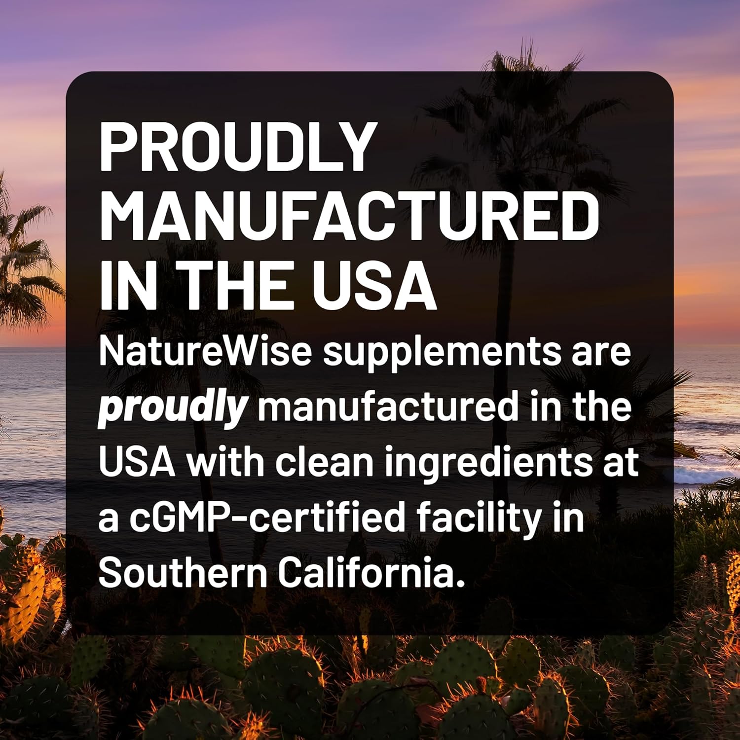 NatureWise Curcumin Turmeric 2250mg 95% Curcuminoids BioPerine 180 Count