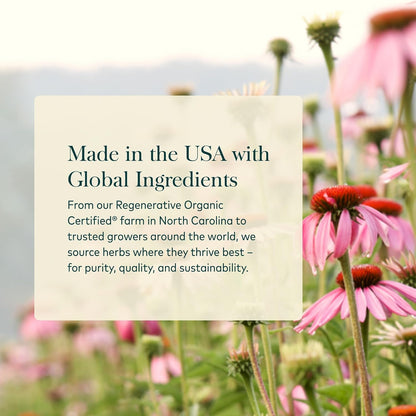 Gaia Herbs Bronchial Wellness Respiratory Support Syrup