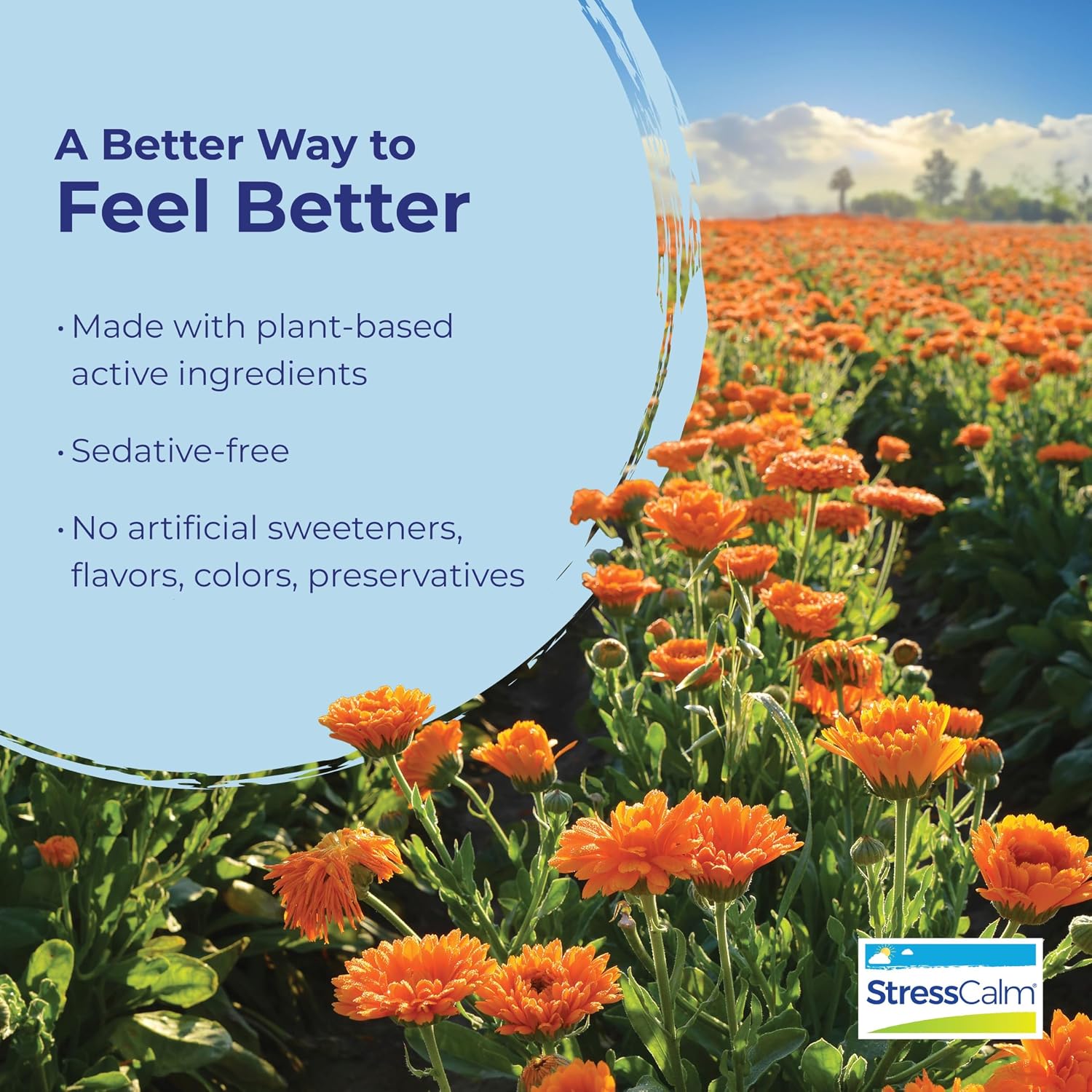 Boiron StressCalm Stress Mood Support Meltaway Tablets