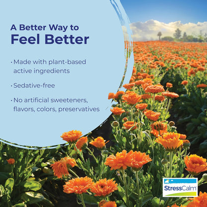 Boiron StressCalm Stress Mood Support Meltaway Tablets