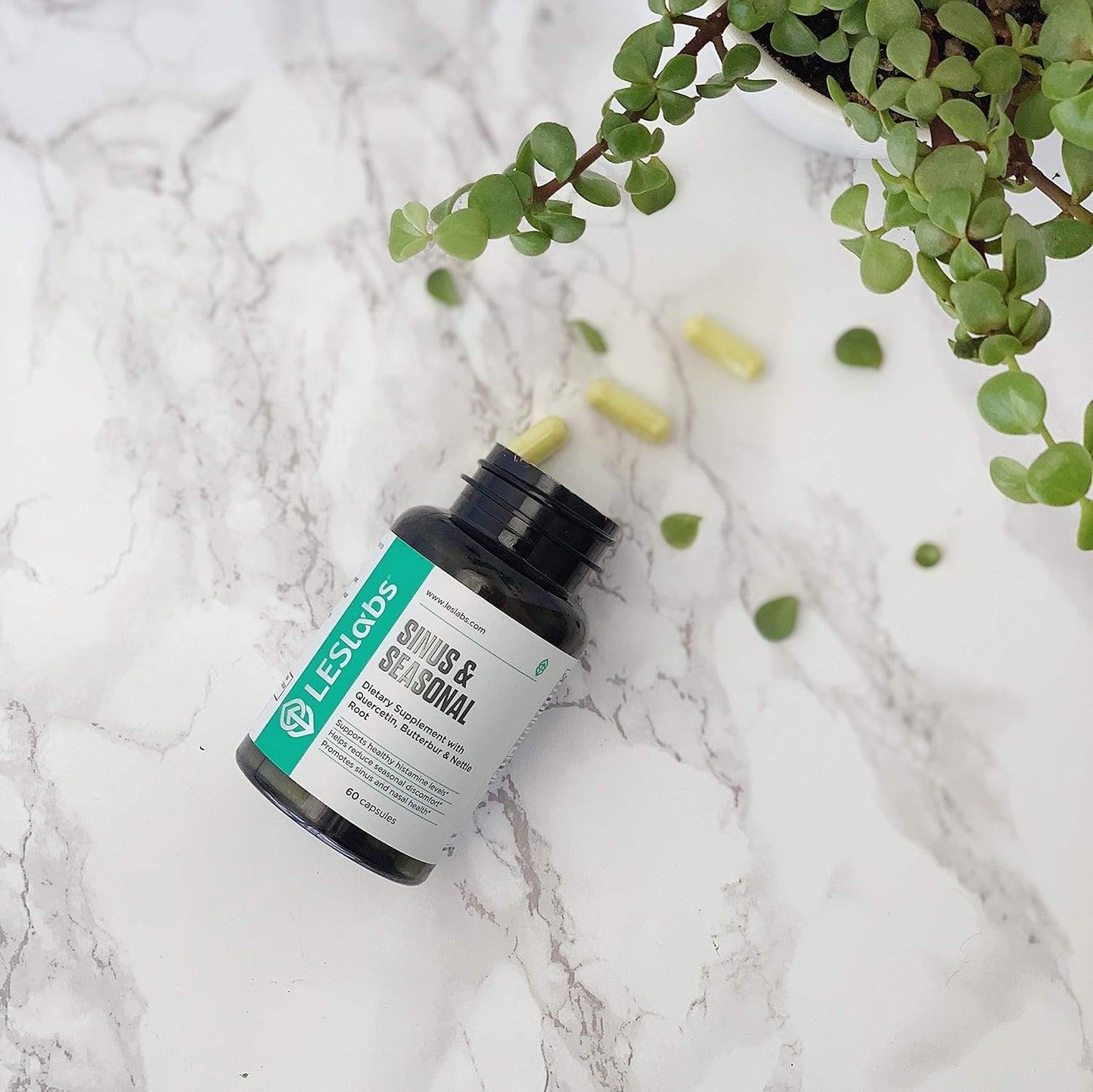 LES Labs Sinus & Seasonal Respiratory Support Capsules