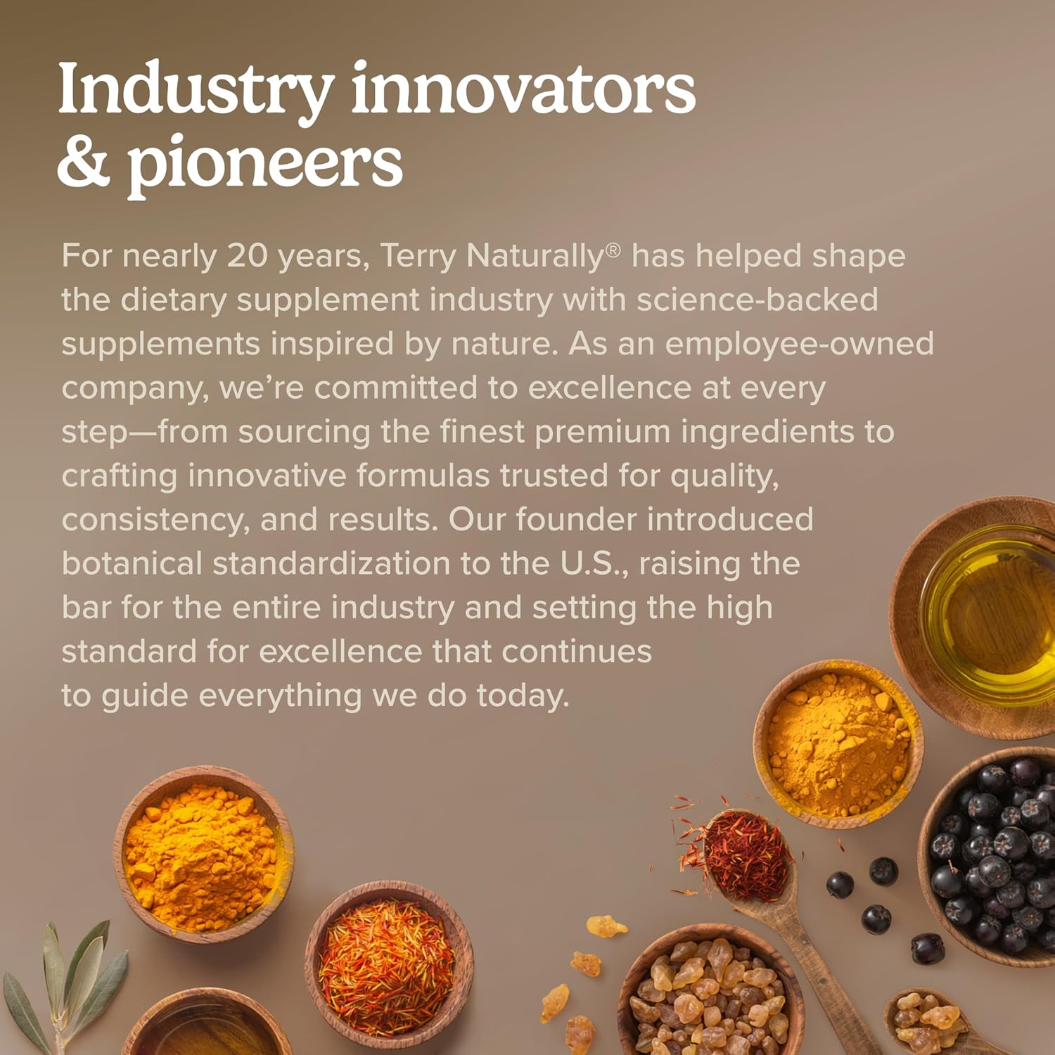 Terry Naturally Bronchial Clear Respiratory Support Tablets