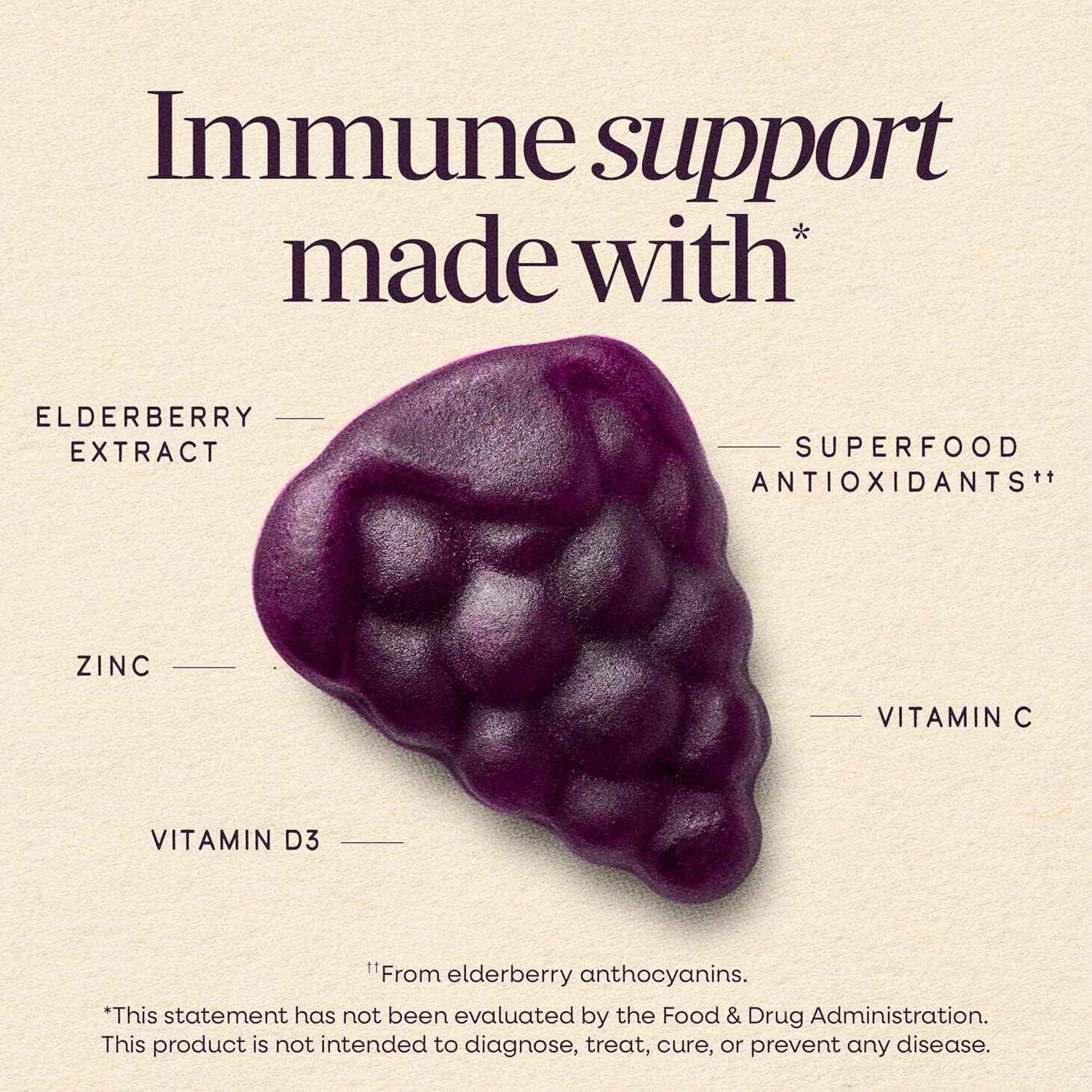Nature's Way Sambucus Elderberry Gummies Vitamin C D3 Zinc 60 Count