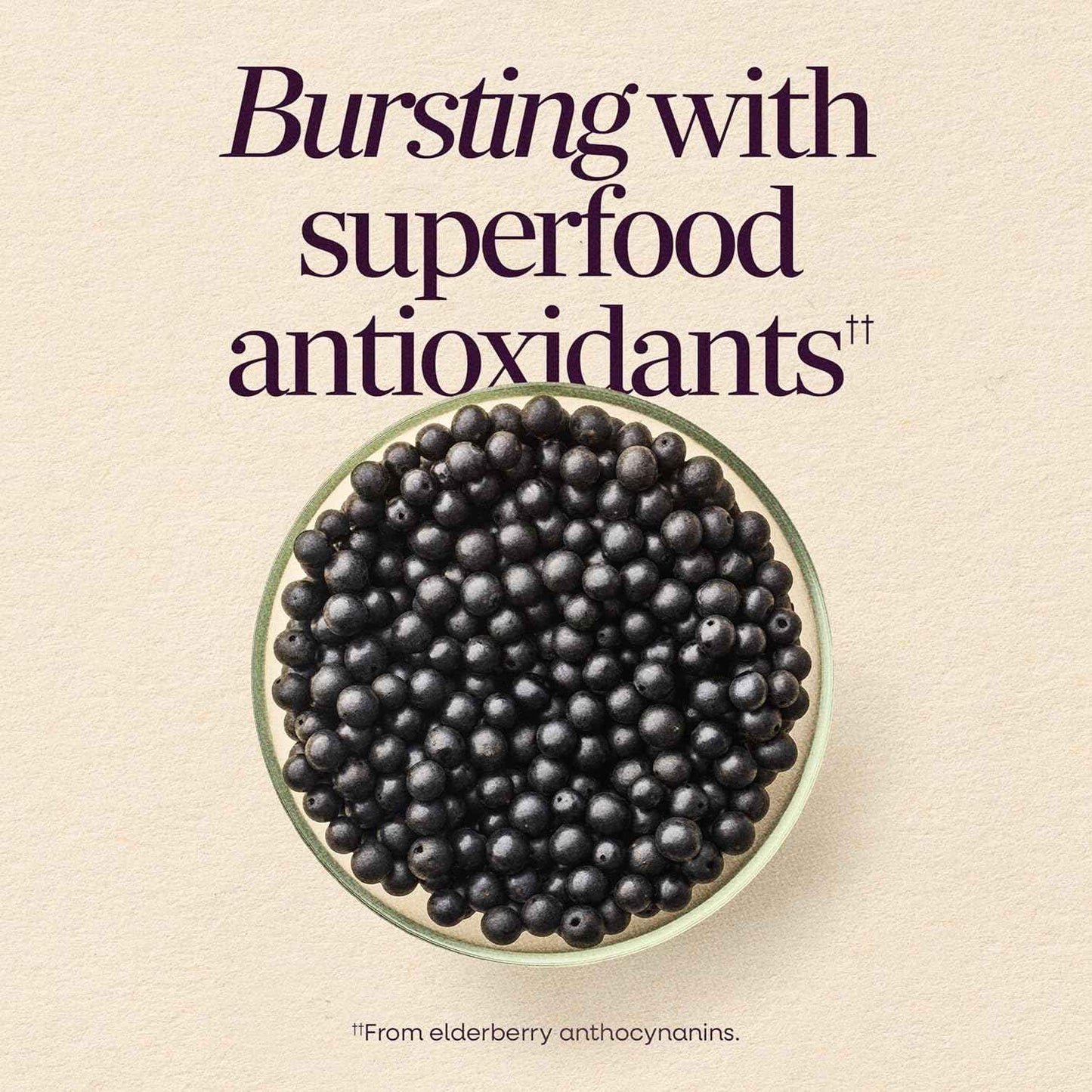 Nature's Way Sambucus Elderberry Gummies Vitamin C D3 Zinc 60 Count