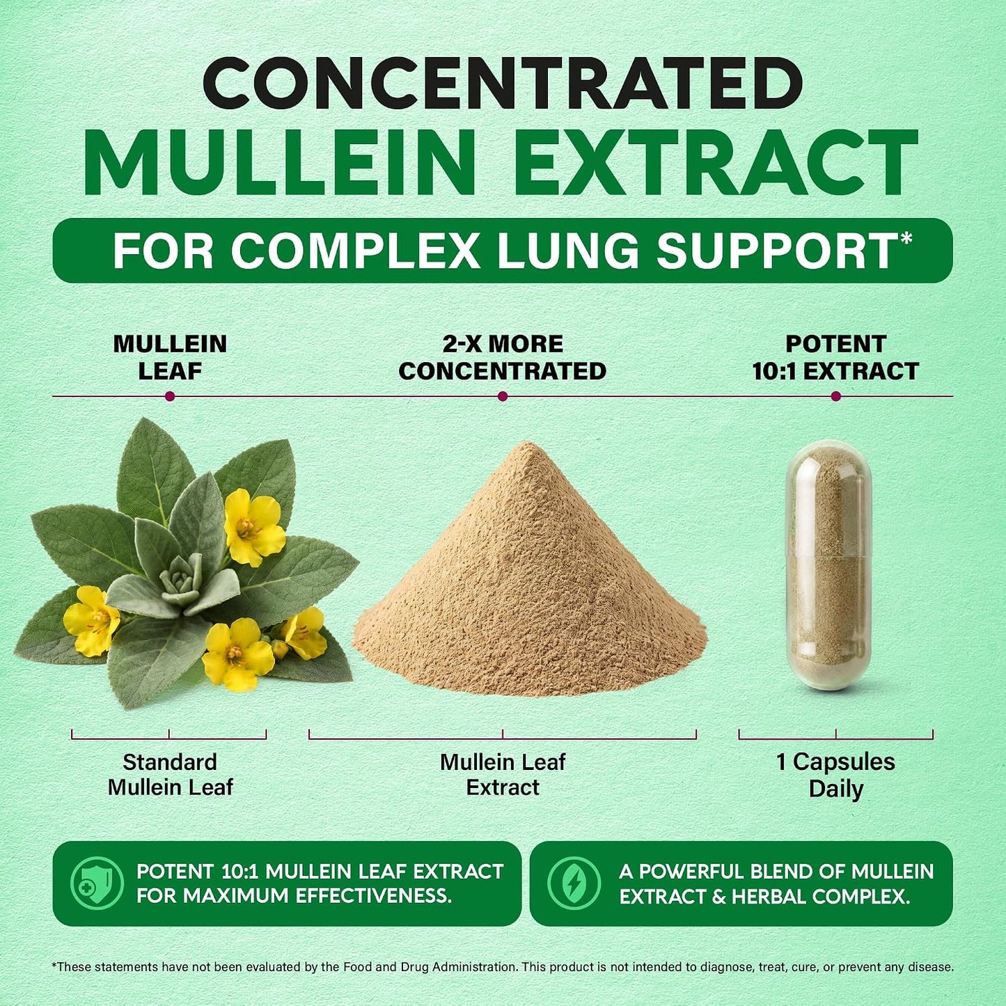 NUTRAHARMONY Mullein Lung Detox Respiratory Support Capsules