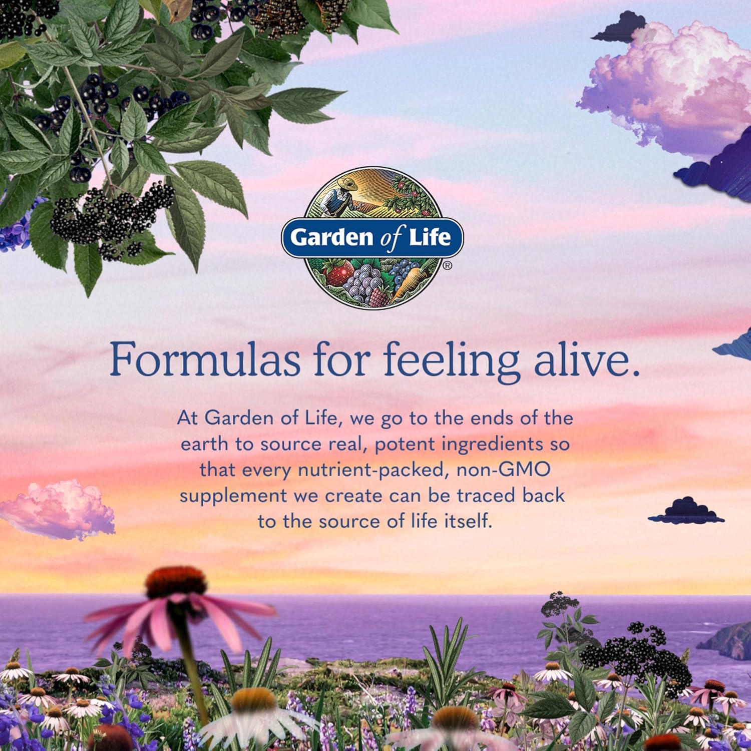 Garden of Life Dr. Formulated Once Daily Women's Probiotics 50 Billion CFU 30 Count